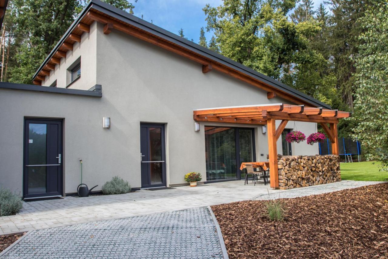 Apartmany Pod Lesem II Rodvínov Екстериор снимка